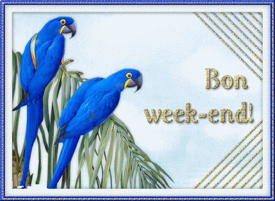 M�me si le temps est gris,